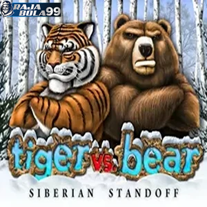 Tiger Bear