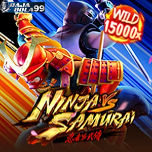 Ninja vs Samurai